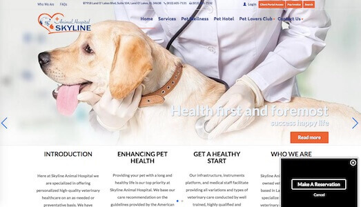 Skyline Animal Hospital Screenshot